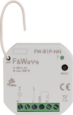FW-R1P-NN